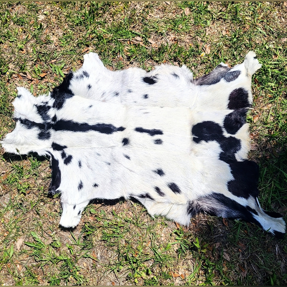Black and White Goat Hide